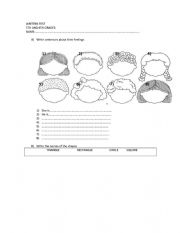 revision shapes