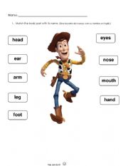 English Worksheet: Body parts