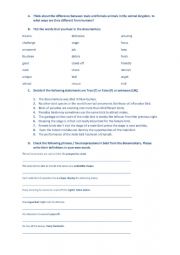 English Worksheet: Paradise Bird