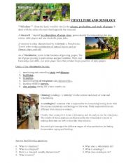 English worksheet: Viticulture and oenology