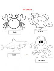 sea animals