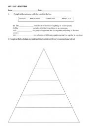 English Worksheet: ECOSYSTEMS TEST