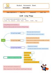 English Worksheet: Living things reading