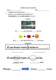 Conditional sentences about facts