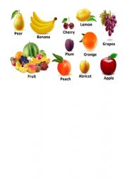 English Worksheet: fruits 