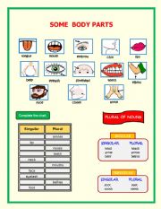 Body Parts