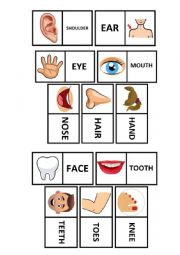 English Worksheet: BODY DOMINO