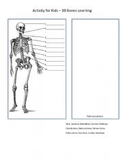 English Worksheet: My 10 Bone - Activity for Kids, 10 Bones Learning