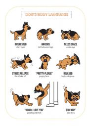 English Worksheet: Dogs body language