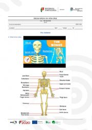 English Worksheet: The skeleton