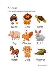 Vacabulary: Animals