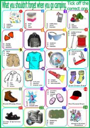 English Worksheet: What you shouldn�t forget when you go camping. - Vocabulary + KEY