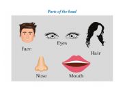English Worksheet: Human Body - Parts of the head