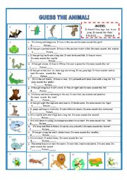English Worksheet: animals