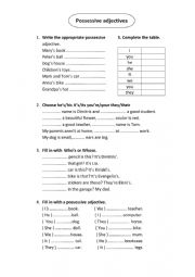 English Worksheet: possessive adjectives