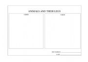 Animals and Legs