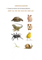 Comparative Adjectives and Animals