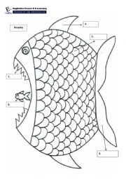 English Worksheet: piranha activities