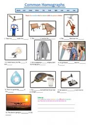 English Worksheet: Common Homographs - Technical English