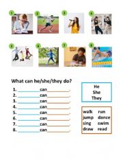 English Worksheet: can