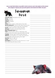 Tasmanian Devil Writing