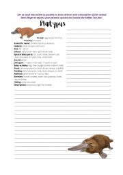 Platypus Writing