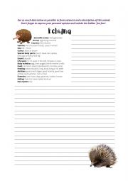 Echidna Writing