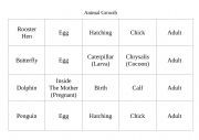 English Worksheet: Animal Growth (Life cycle)