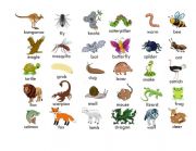 English Worksheet: Animals