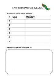 English Worksheet: The very hungry caterpillar