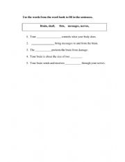 English Worksheet: The brain