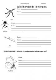 Starter animal matching ESL worksheet