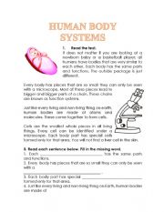 English Worksheet: HUMAN BODY SYSTEMS READING COMPREHENSION