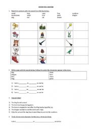 English Worksheet: Room on a Broom by Julia Donaldson worksheet