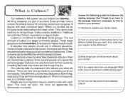 Reading comprehension - What is culture?