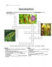 English Worksheet: Carnivorous Plants CROSSWORD PUZZLE