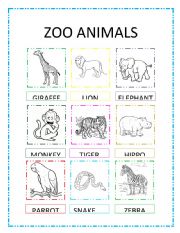 Zoo Animals