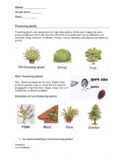 Flowering Worksheet