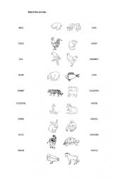 English Worksheet: ANIMALS