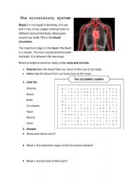 English Worksheet: Circulatory system