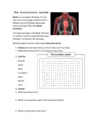 Circulatory system