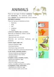 English Worksheet: Animals� characteristics. Vertebrate.