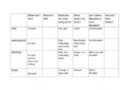 English Worksheet: CLIL Vertebrate Characteristic Chart