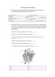 English Worksheet: CIRCULATION THROUGH THE HEART