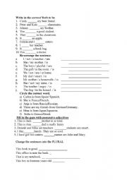 English Worksheet: test