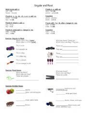 English Worksheet: Singular and Plural Class Handout