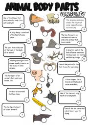 English Worksheet: Animal body parts - exercises