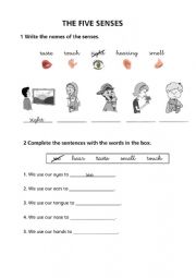 English Worksheet: The five senses