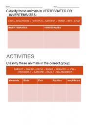 English Worksheet: animal classification