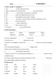 Should or Shouldnï¿½t 2